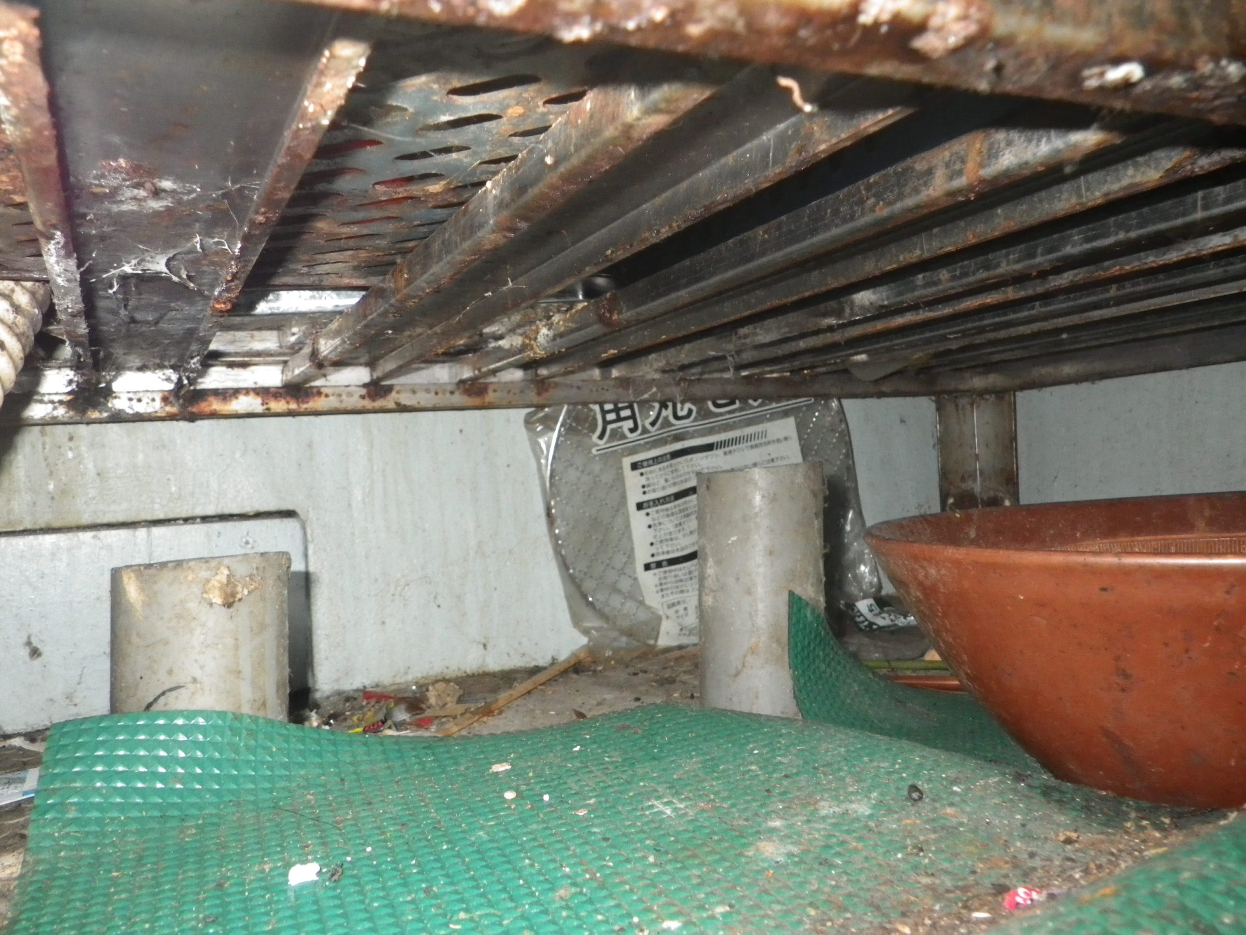 天井裏塩ビ管からの侵入口作業前