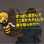 今年最後のハチ駆除施工（豊橋市）